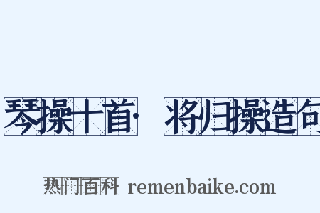 琴操十首·将归操造句是什么意思的图片